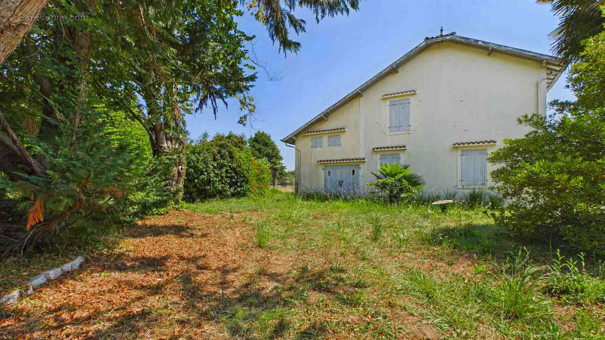 Maison de maître à Saint Martin De Hinx 170 m2 - photo 4