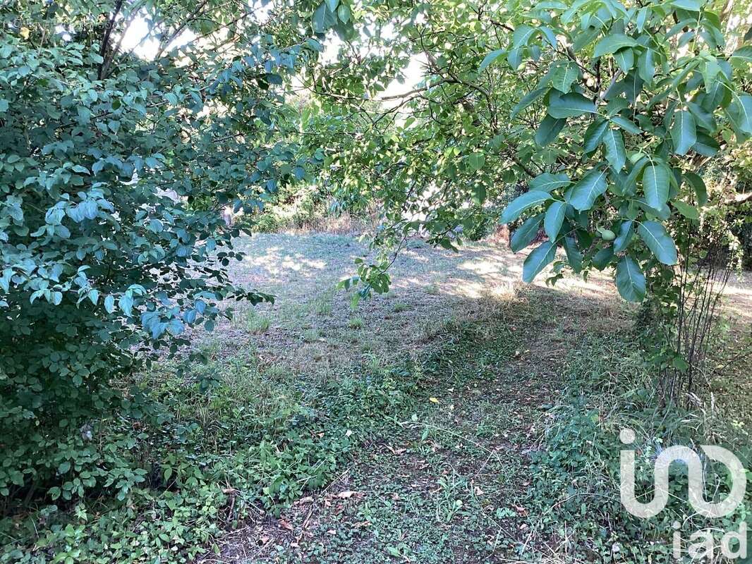 Photo 3 - Terrain à PROVINS