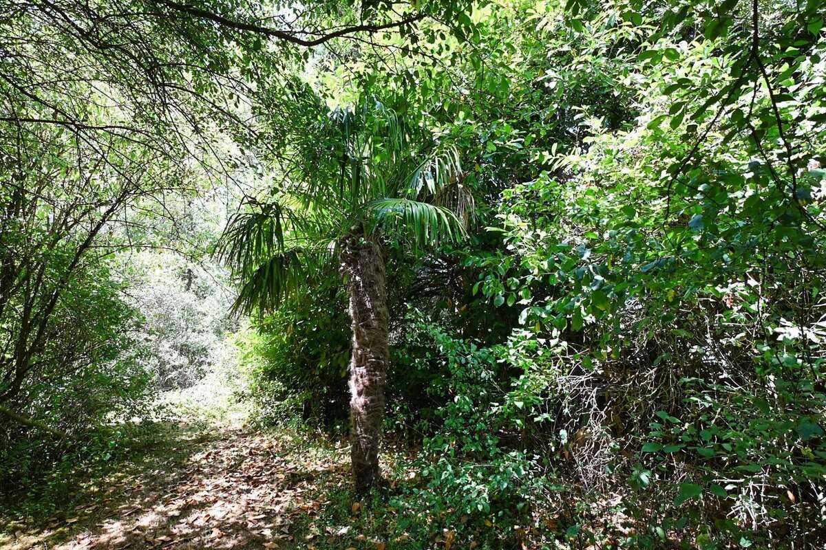 À vendre Aubigny : Projet de rénovation de rêve - photo 62