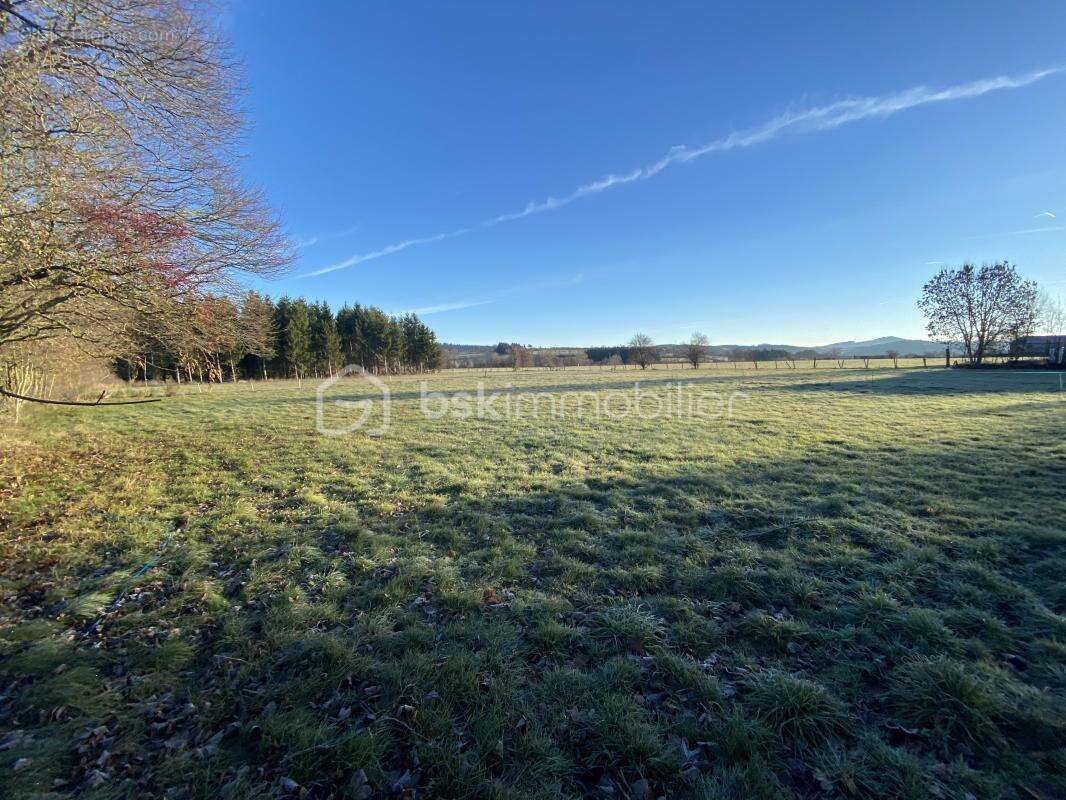 Terrain à SAINT-PAULIEN