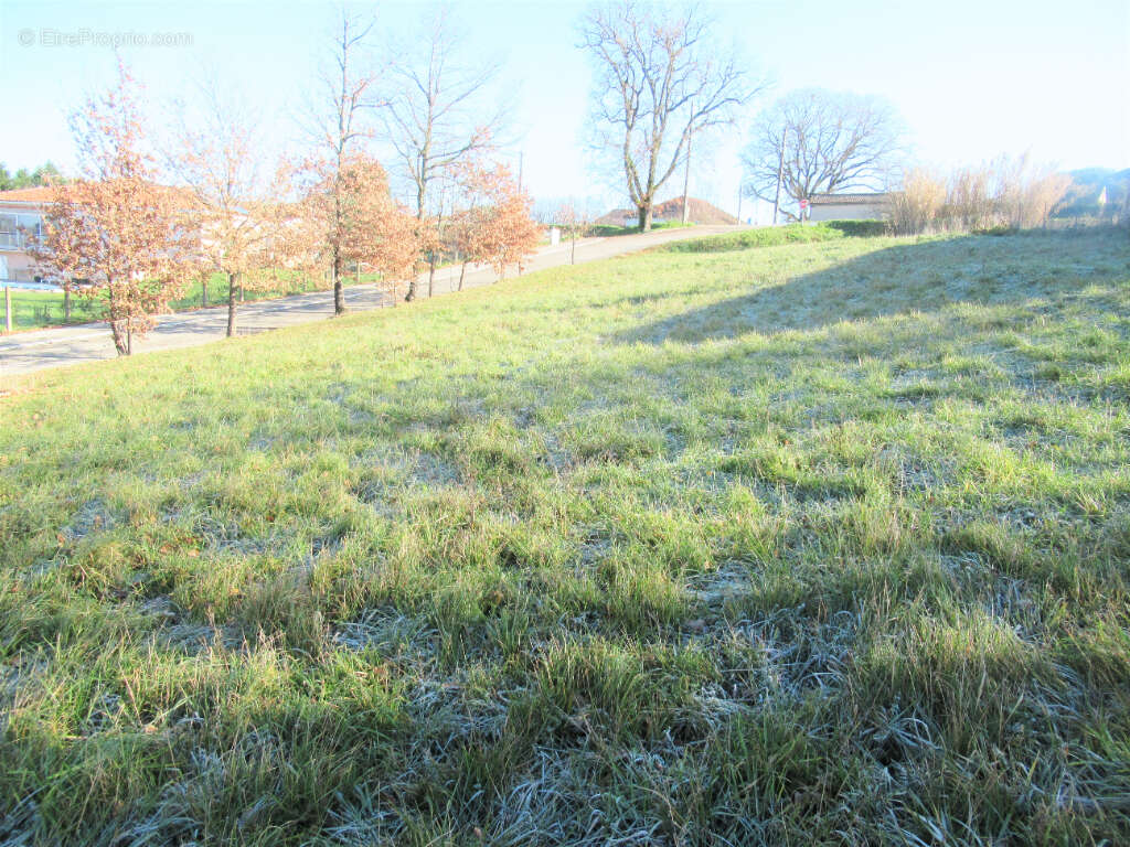 Terrain à MOISSAC