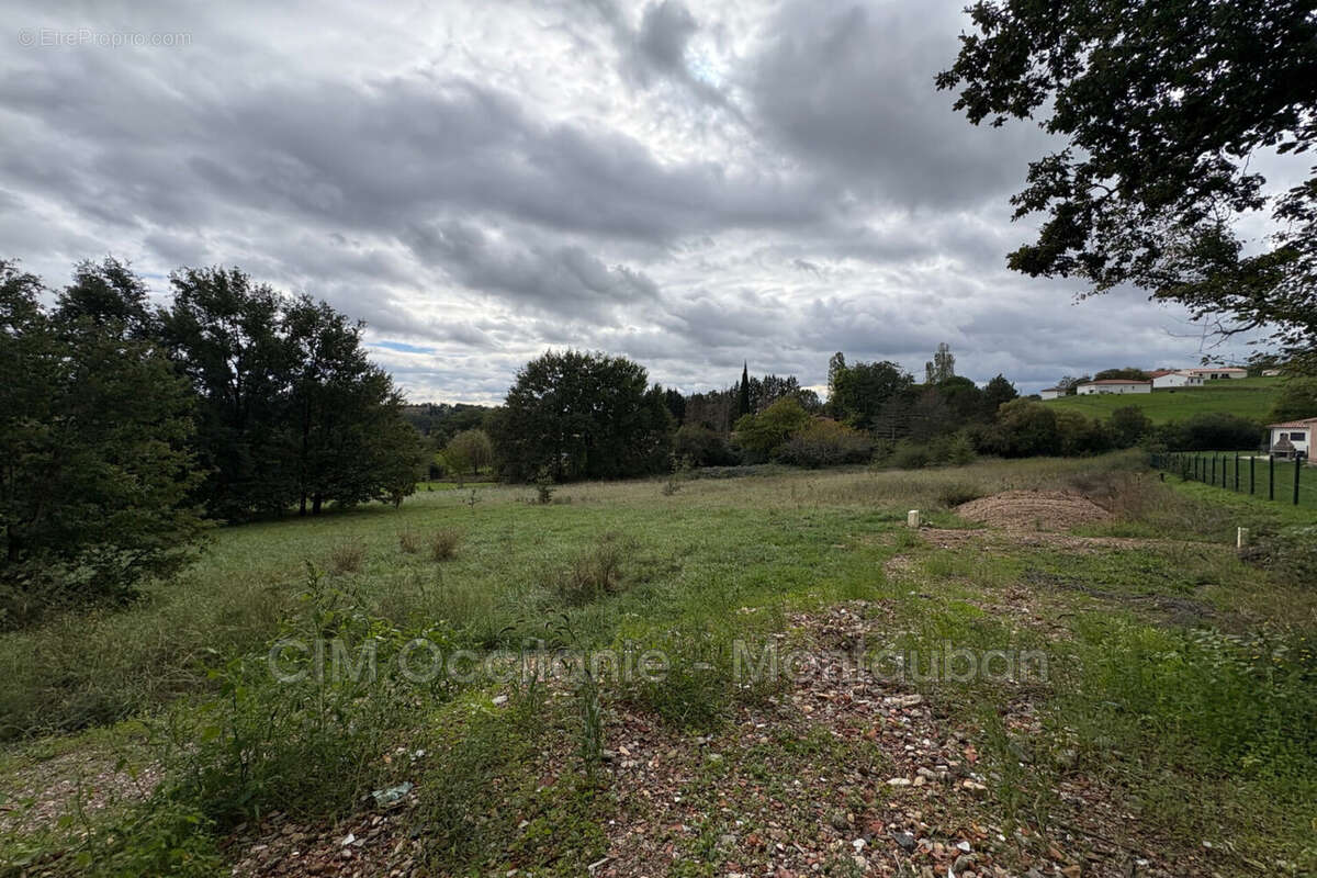 Terrain à LA SALVETAT-BELMONTET