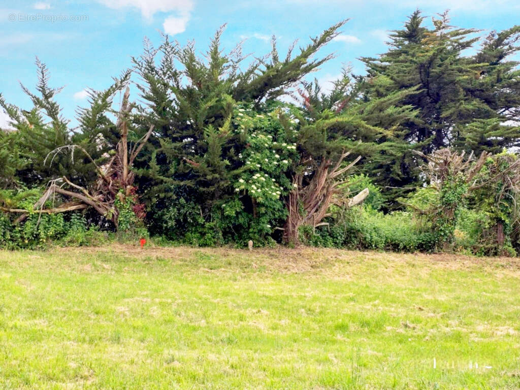 Terrain à SAINT-JEAN-DE-MONTS