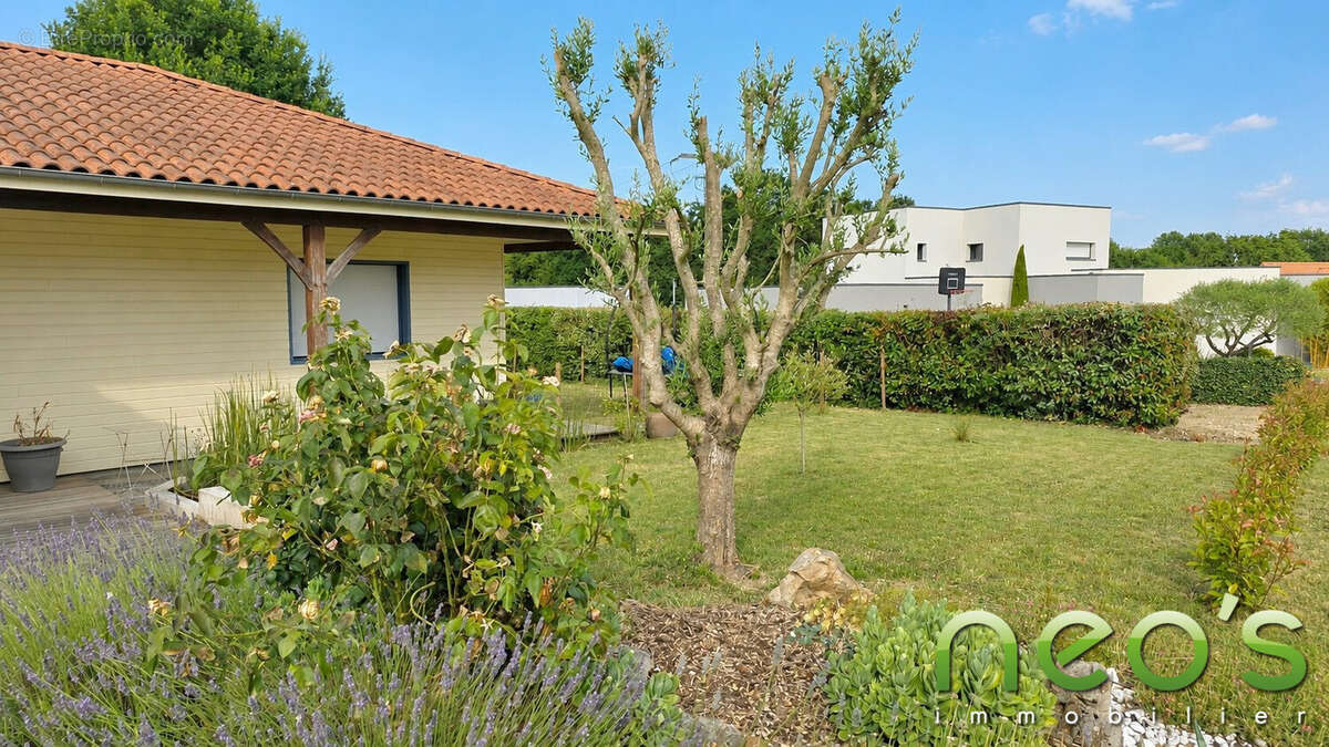 Maison 154 m² à Chemille  - photo 3