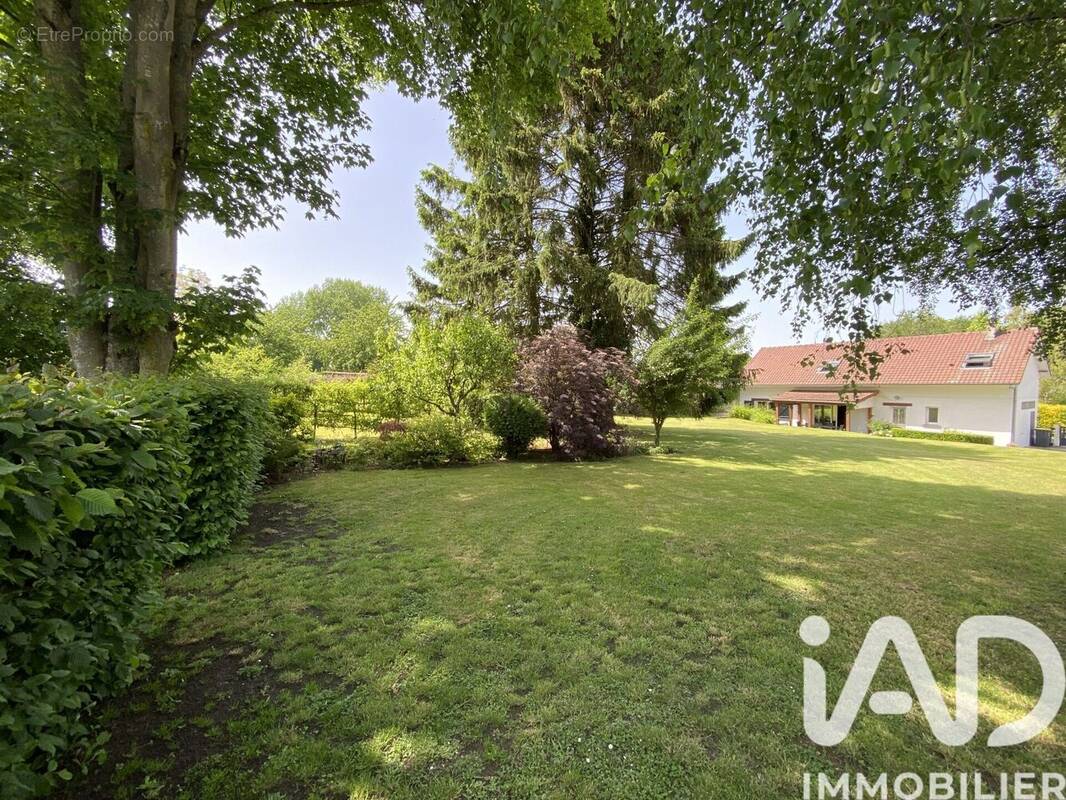 Photo 1 - Maison à BELLEUSE