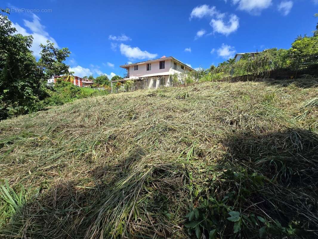 Terrain à RIVIERE-SALEE