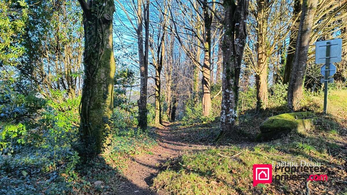 Terrain à LOCRONAN