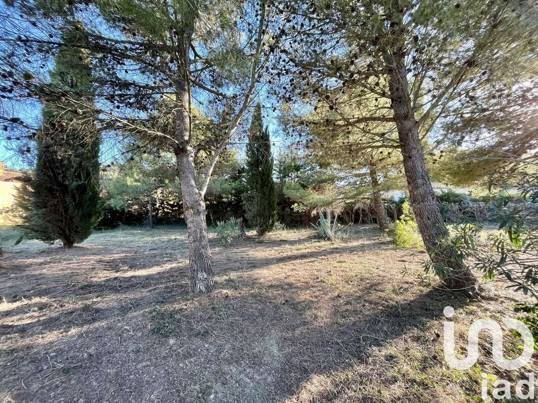 Photo 9 - Terrain à ROQUEFORT-DES-CORBIERES