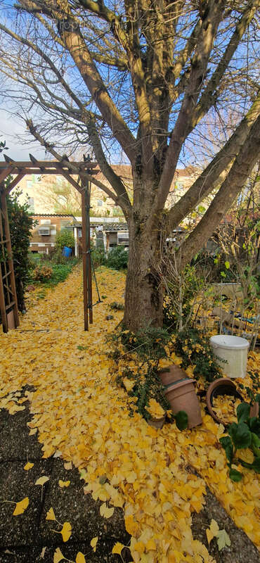 Maison à BULLY-LES-MINES