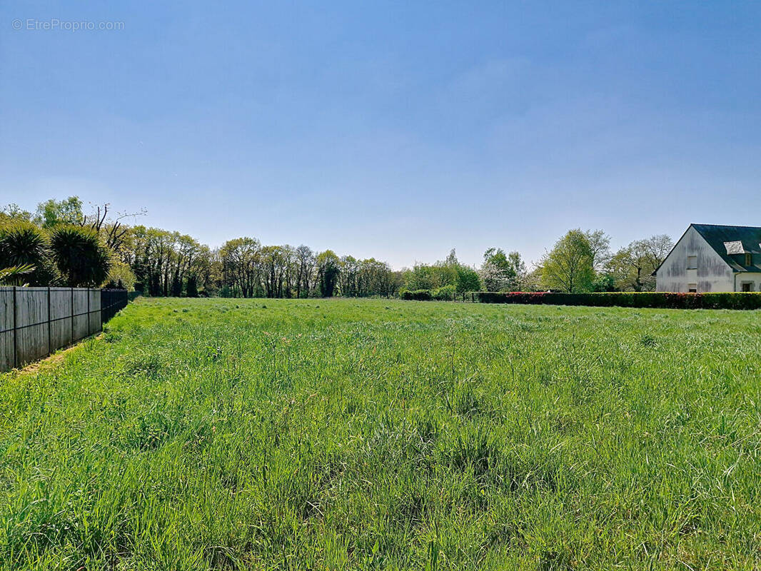 Terrain à PLOERMEL
