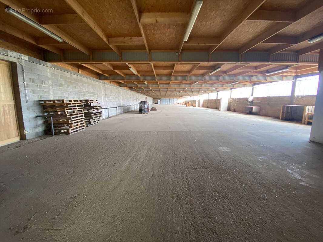 Commerce à LE LUART