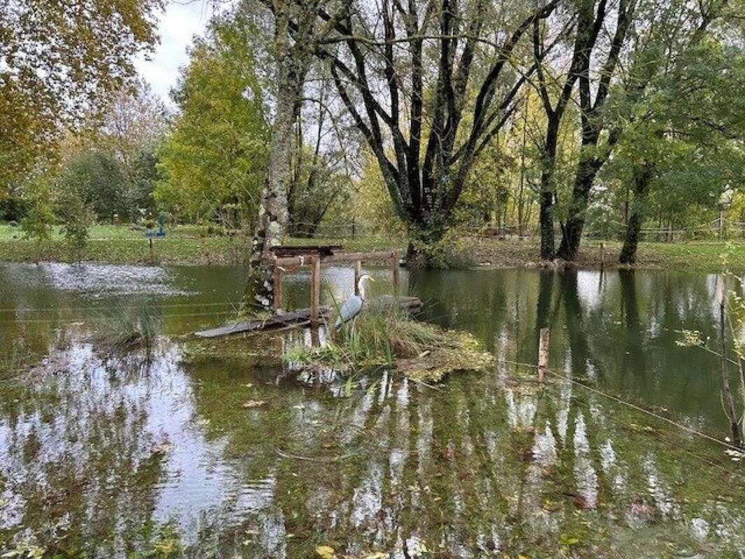 Photo 4 - Terrain à SAINT-CIERS-DU-TAILLON