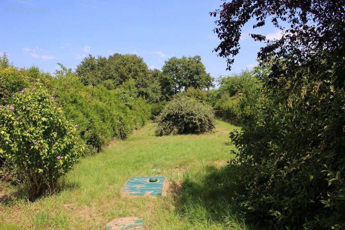 Photo 2 - Maison à CHASSENON