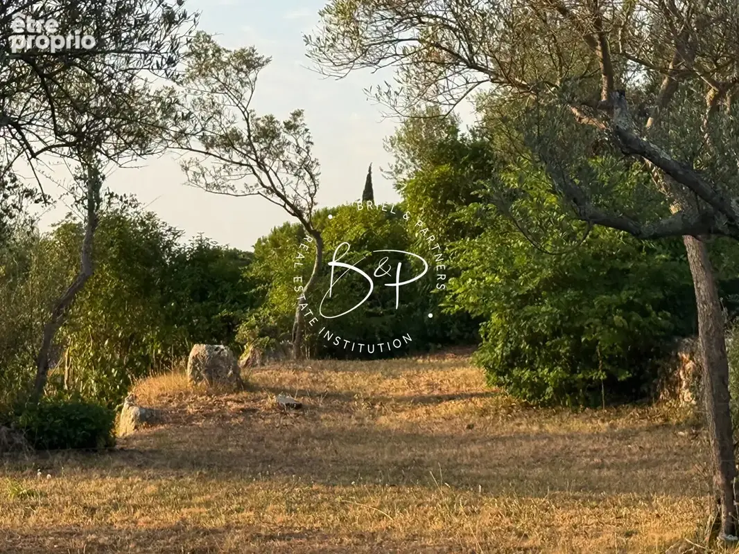 Terrain Lorgues 1200 m2 - photo 5