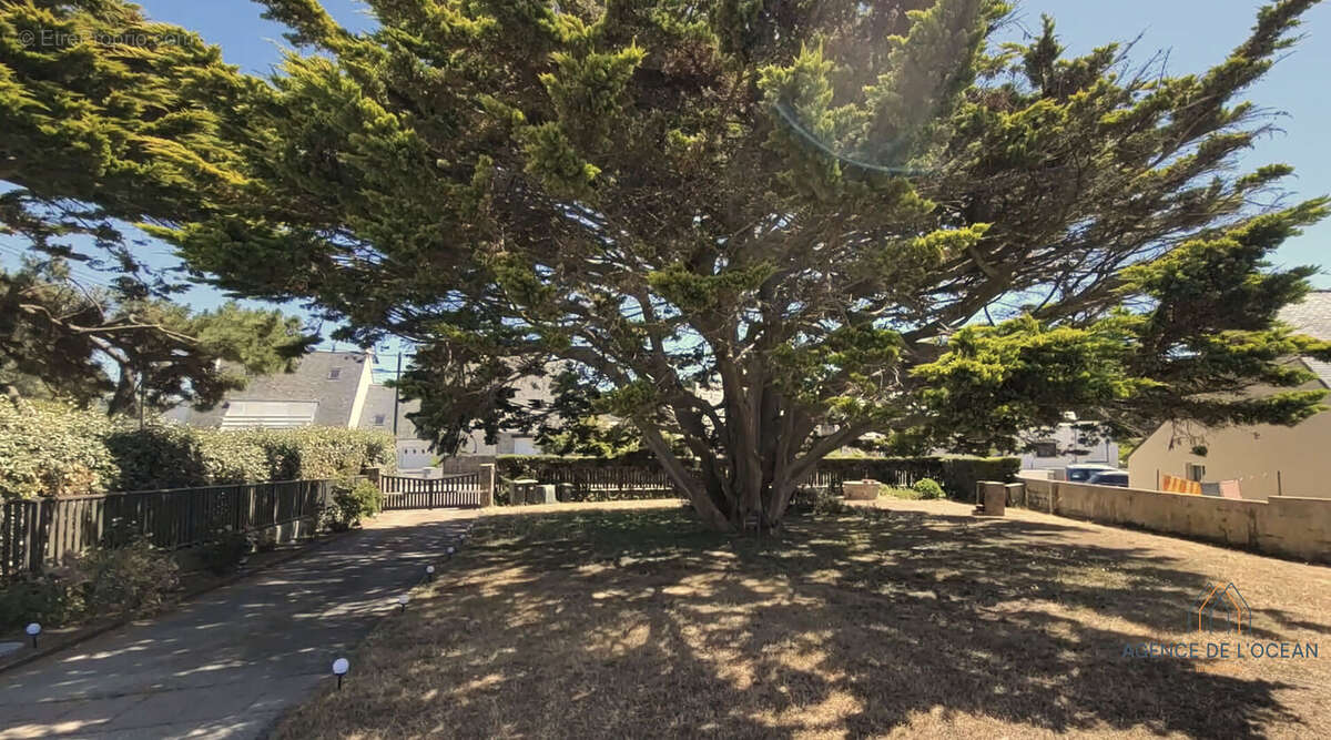 Maison à SAINT-PIERRE-QUIBERON