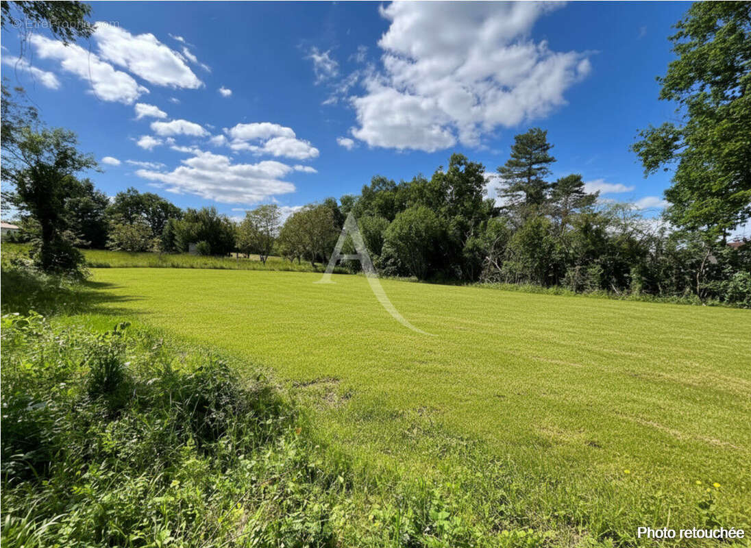 Terrain à Montdurausse de 3577 m² ! - photo 3