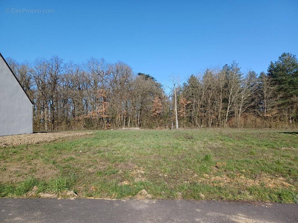Terrain à PERNAY