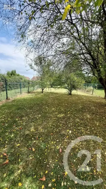 Maison 124 m² à Orthez  - photo 9