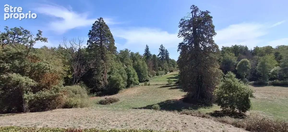 Exceptionnel château XV-XVI et XIXe avec son hameau et ses 108 hectares avec possibilité d’acheter 200ha attenants supplémentair - photo 10