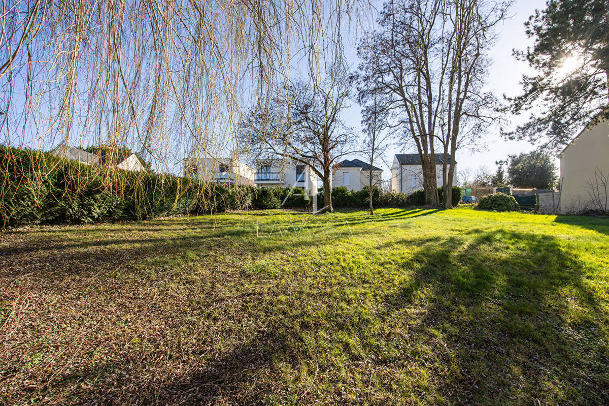 Terrain à SAINT-THIBAULT-DES-VIGNES
