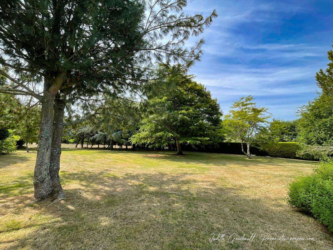 Maison de maître  290m2 sur 7200 m2 de terrain avec tennis - photo 4