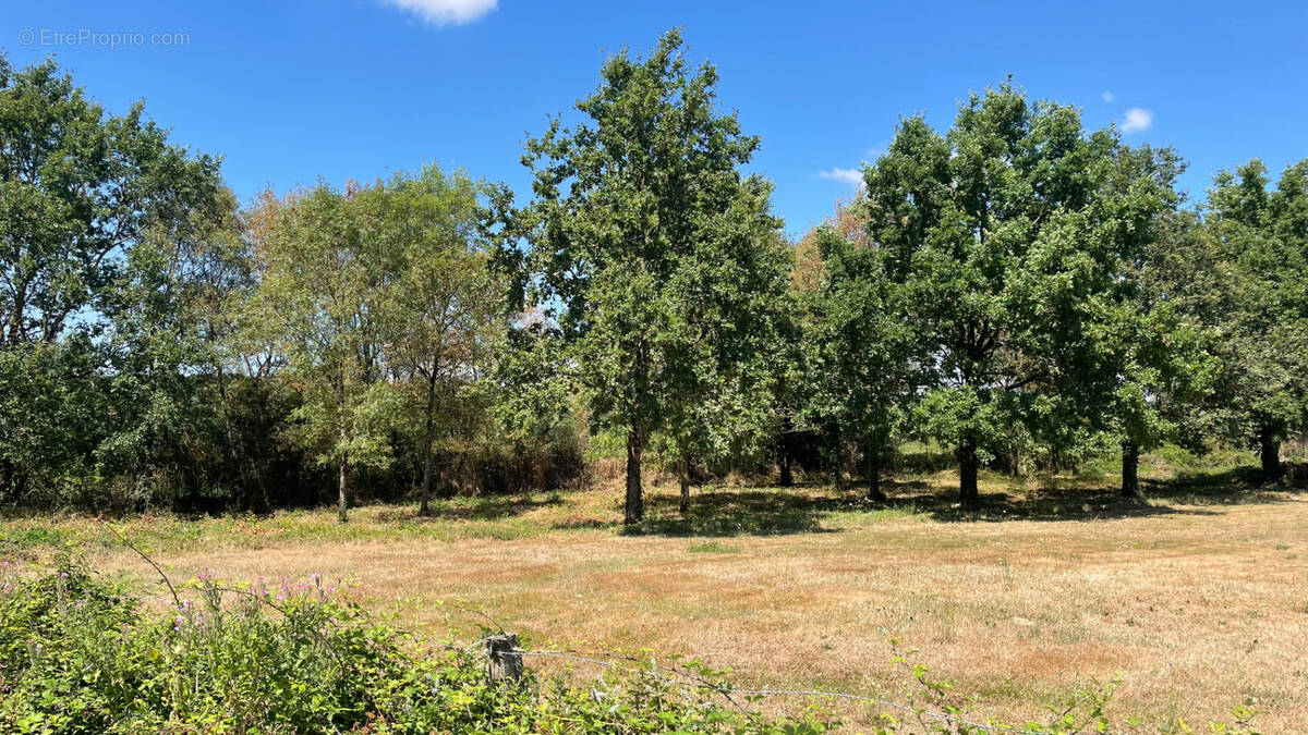 Terrain à SAINT-CHRISTOPHE-DU-LIGNERON