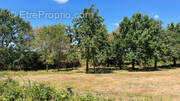 Terrain à SAINT-CHRISTOPHE-DU-LIGNERON