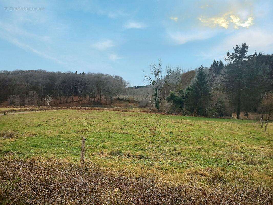 Maison Saint Martin Du Puy 4 pièces 85 m2 - photo 8