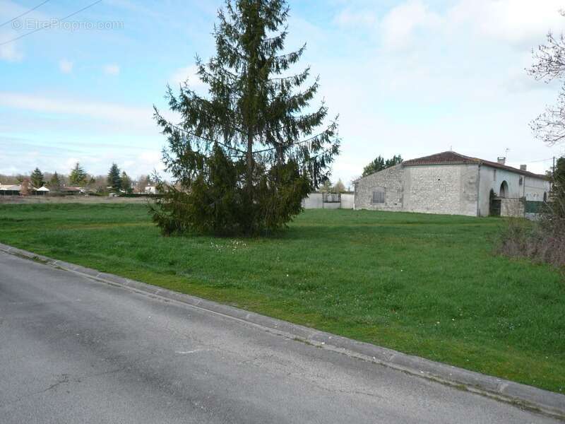  terrain à construire a vendre  ars (16)  - photo 3
