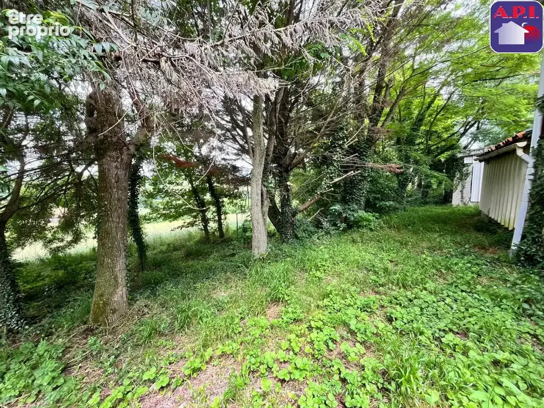Maison 202 m² à Pamiers  - photo 22