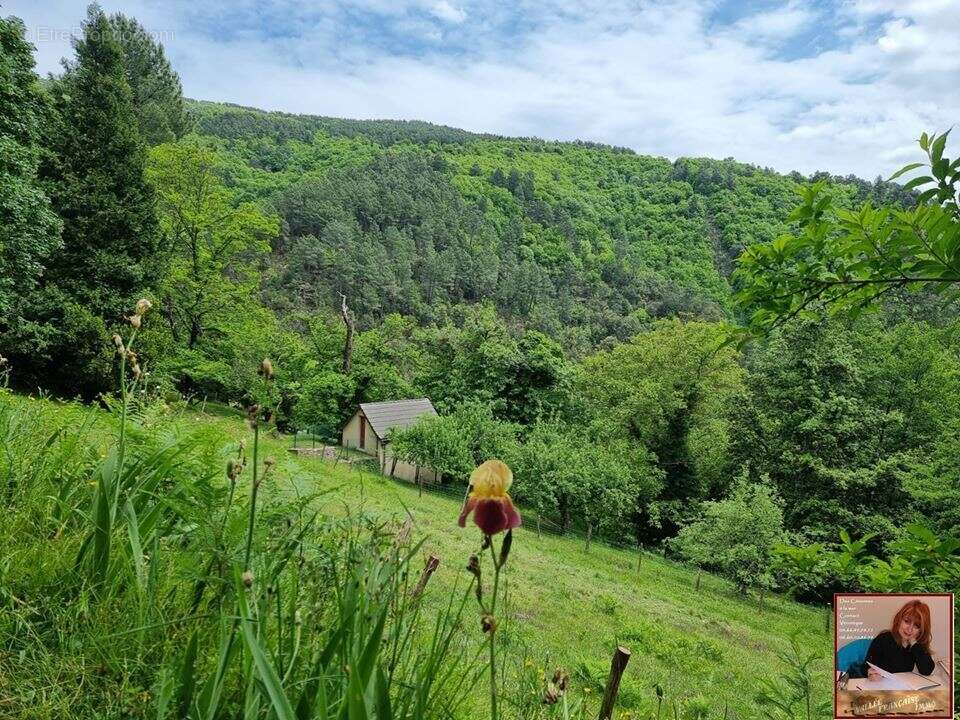 Maison à SAINT-ETIENNE-VALLEE-FRANCAISE