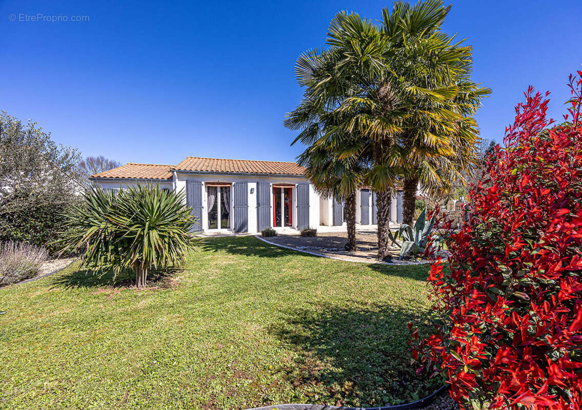 Maison Vouillé plain-pied avec piscine - photo 7