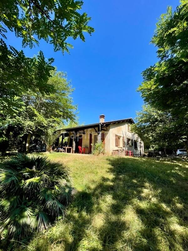 Maison à MONTRICOUX