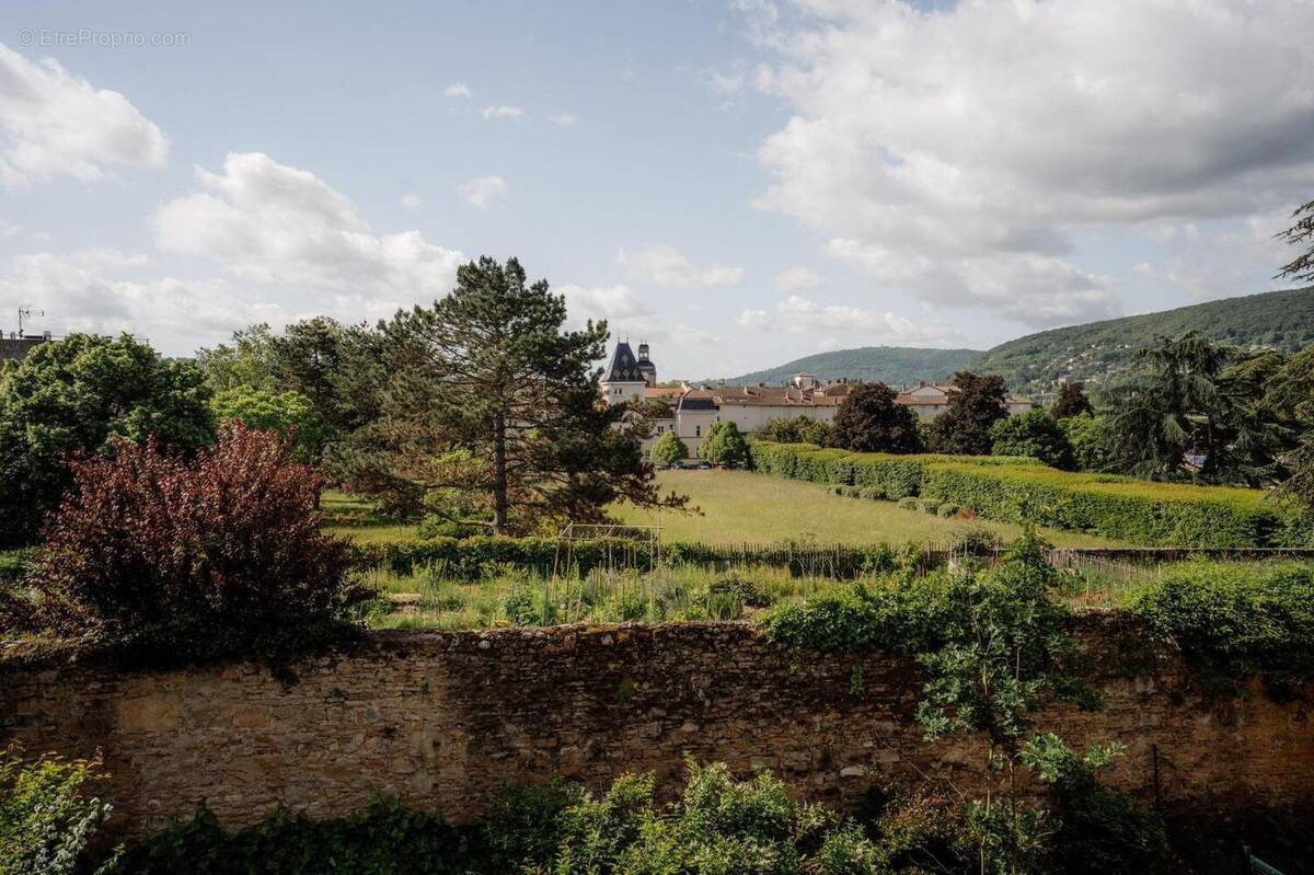   - Appartement à NEUVILLE-SUR-SAONE