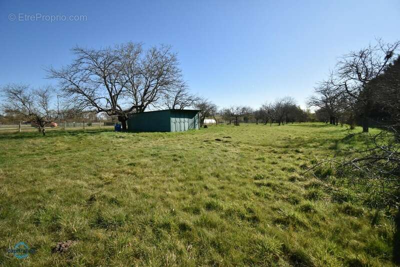 Maison à CHOUZY-SUR-CISSE