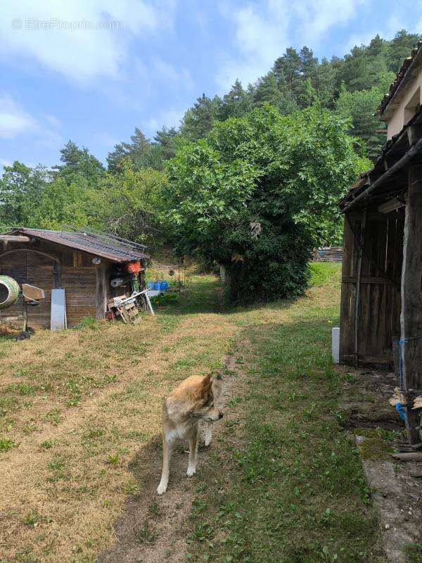 Maison en pierre  de 126 m2 terrain 5781 m2 + dependances+ gite - photo 7