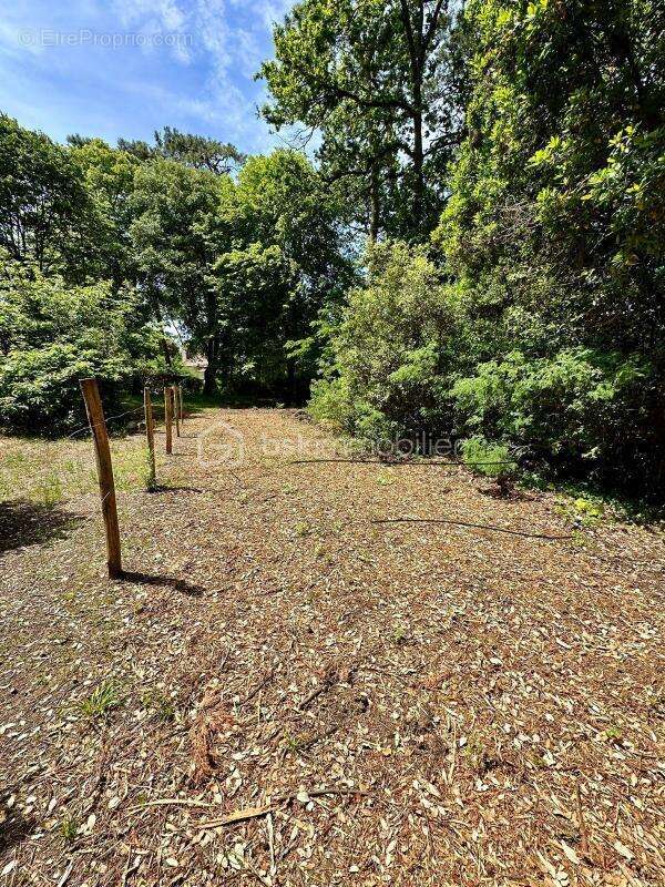 Terrain à SAINT-BREVIN-LES-PINS