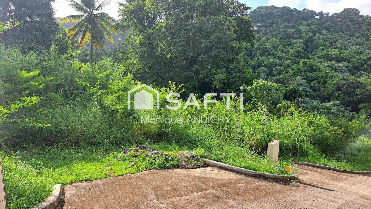 Photo 1 - Terrain à LE FRANCOIS