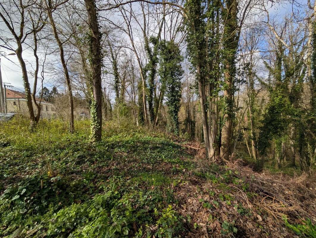 Terrain à FONTAINE-LE-PORT