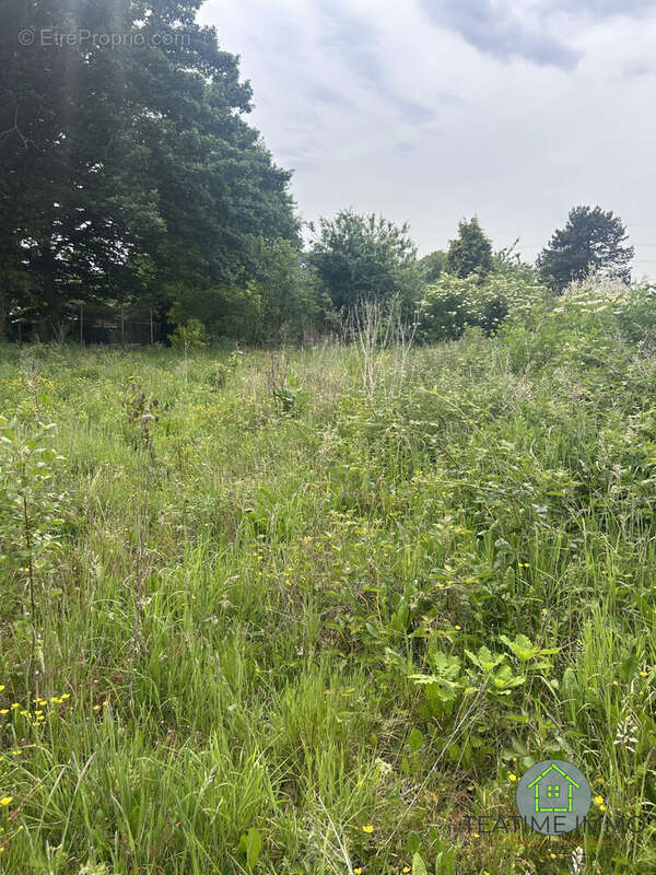 Maison à VILLENEUVE-D'ASCQ