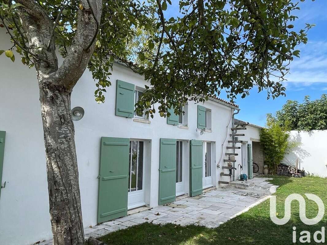 Photo 3 - Maison à SAINT-MARTIN-DE-RE