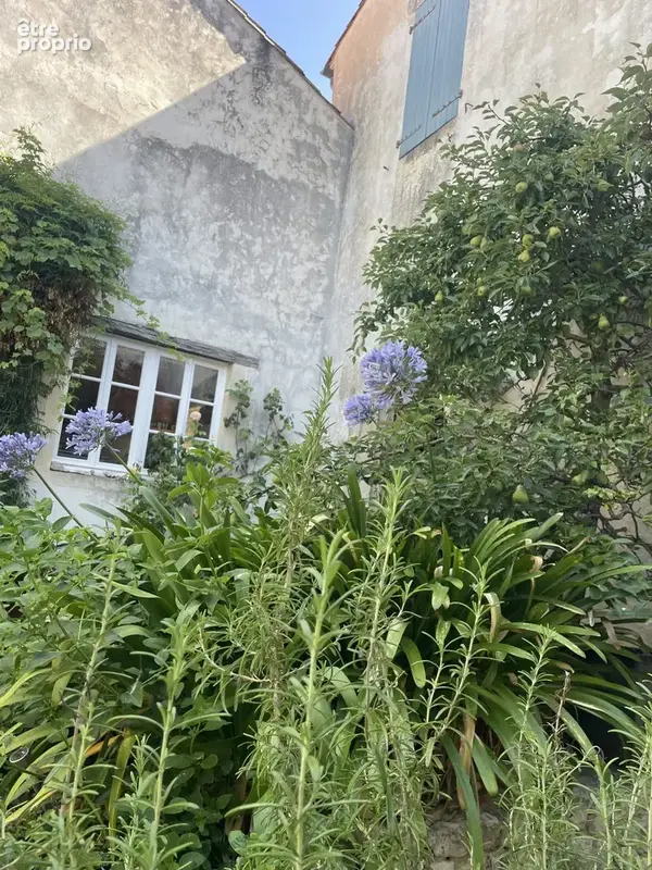Maison 7 pièces 230 m² à vendre à Sainte-Marie-De-Re (17740) - photo 9