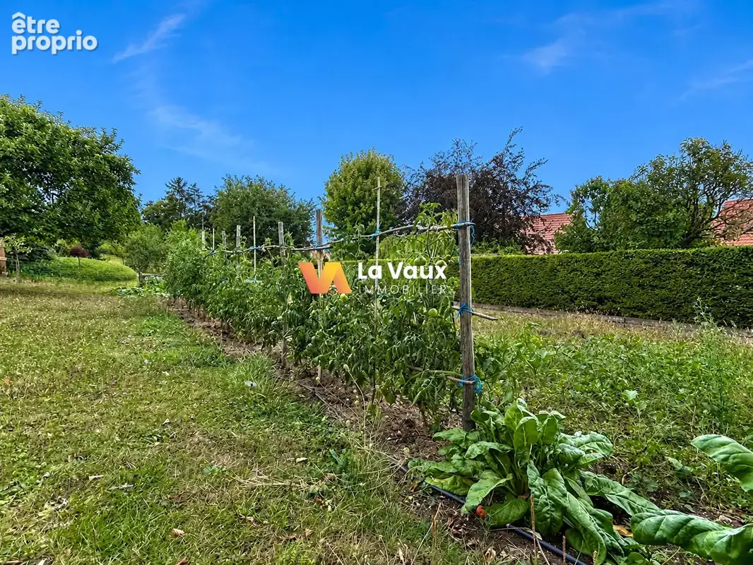 ANTHELUPT : Maison individuelle 150 m² - Terrain 2 000 m² - photo 16
