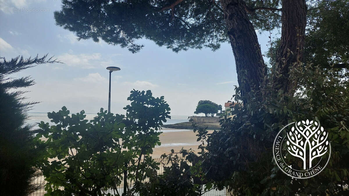 vue mer plage au pied de la maison - Maison à SAINT-PALAIS-SUR-MER
