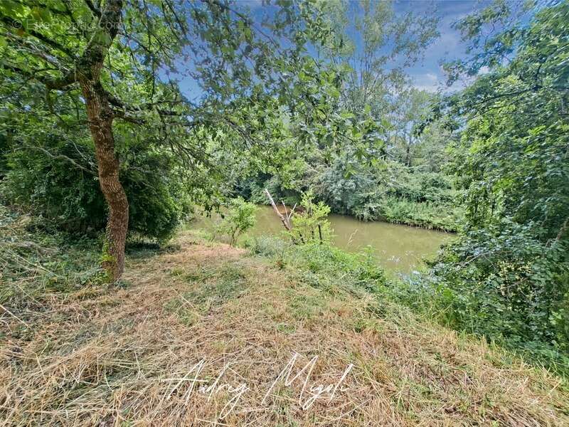 Maison en pierre au cœur de la nature, 109m², 3 chambres, garage et grande dépendance, au bord d'une rivière, terrain 1 hectare - photo 17