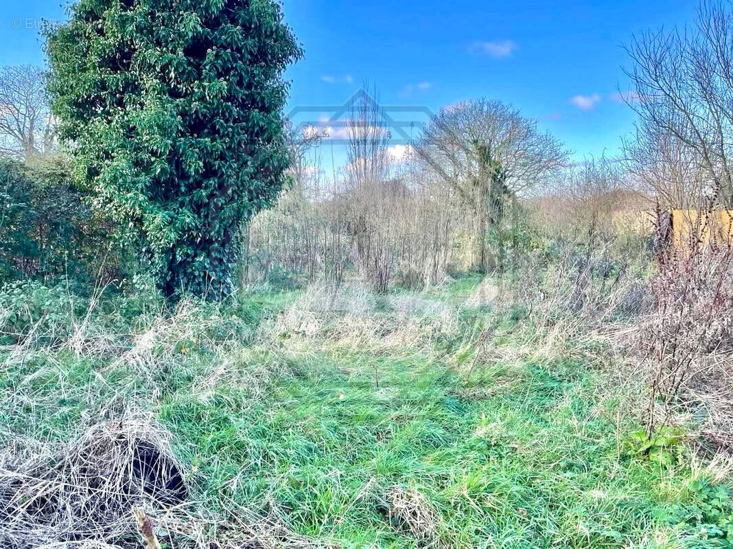 Terrain à LORMAISON