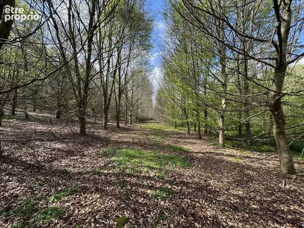 Terrain 118 110 m² à vendre à La Vespiere (14290) - photo 3