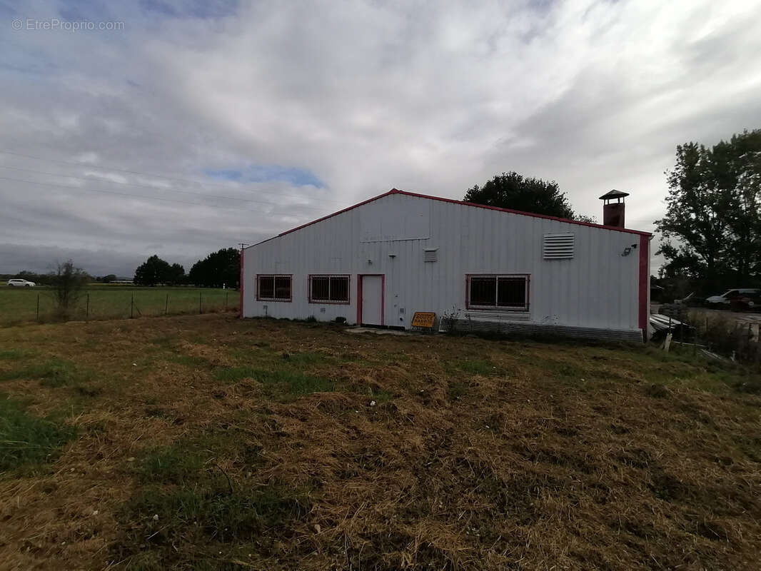 Commerce à MONTAUBAN