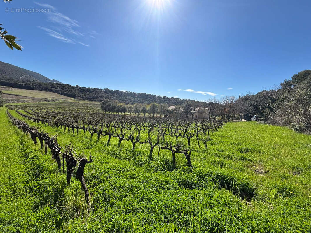 Terrain à ROUSSET-LES-VIGNES