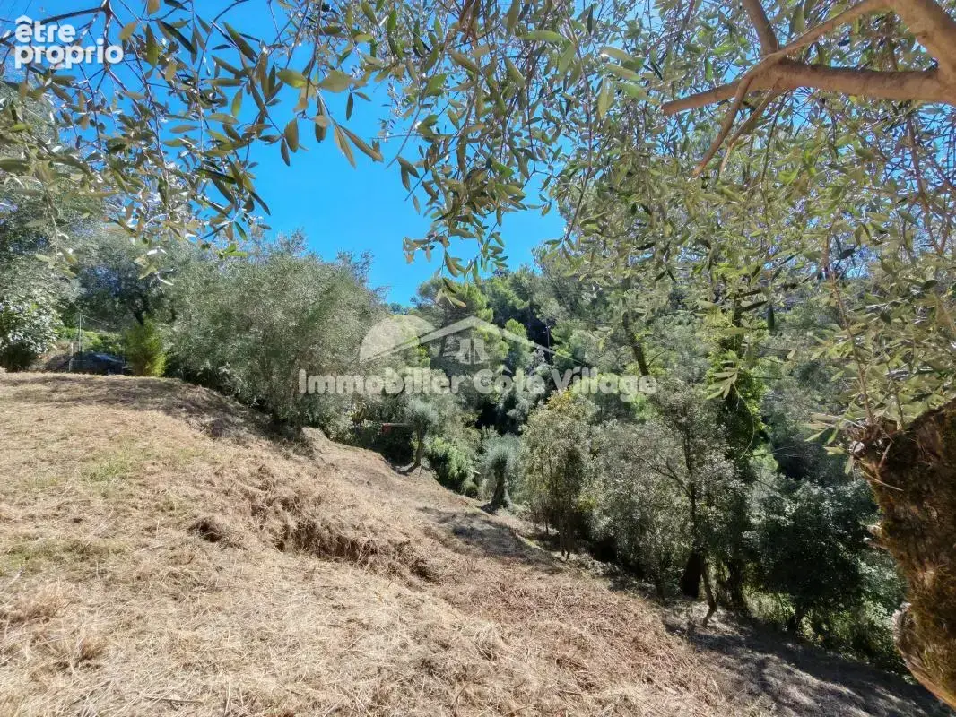 Hauteurs de saint-andré-de-la-roche   2 700 m2 de terrain ar - photo 3
